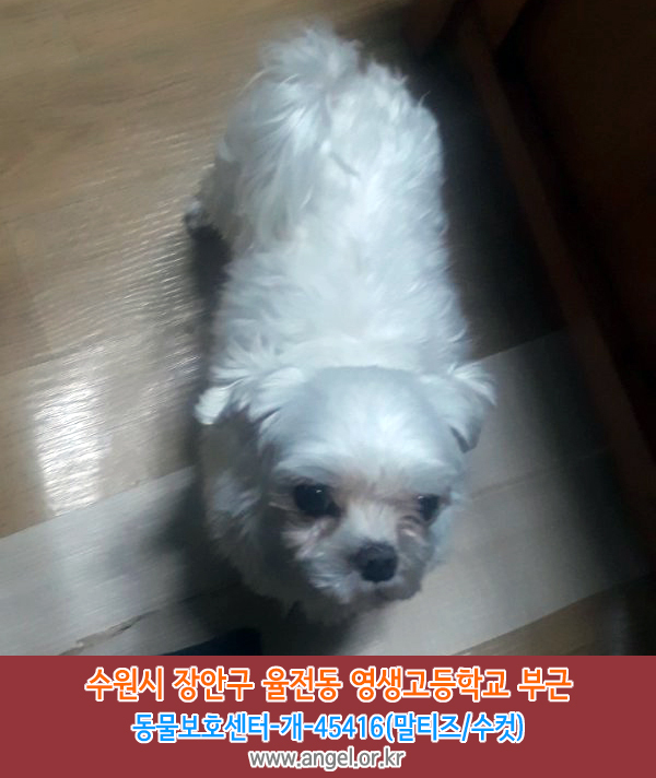 영생고등학교 이미지