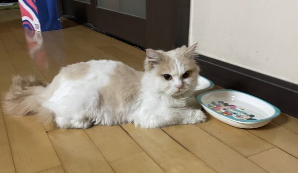 청구헤어 이미지
