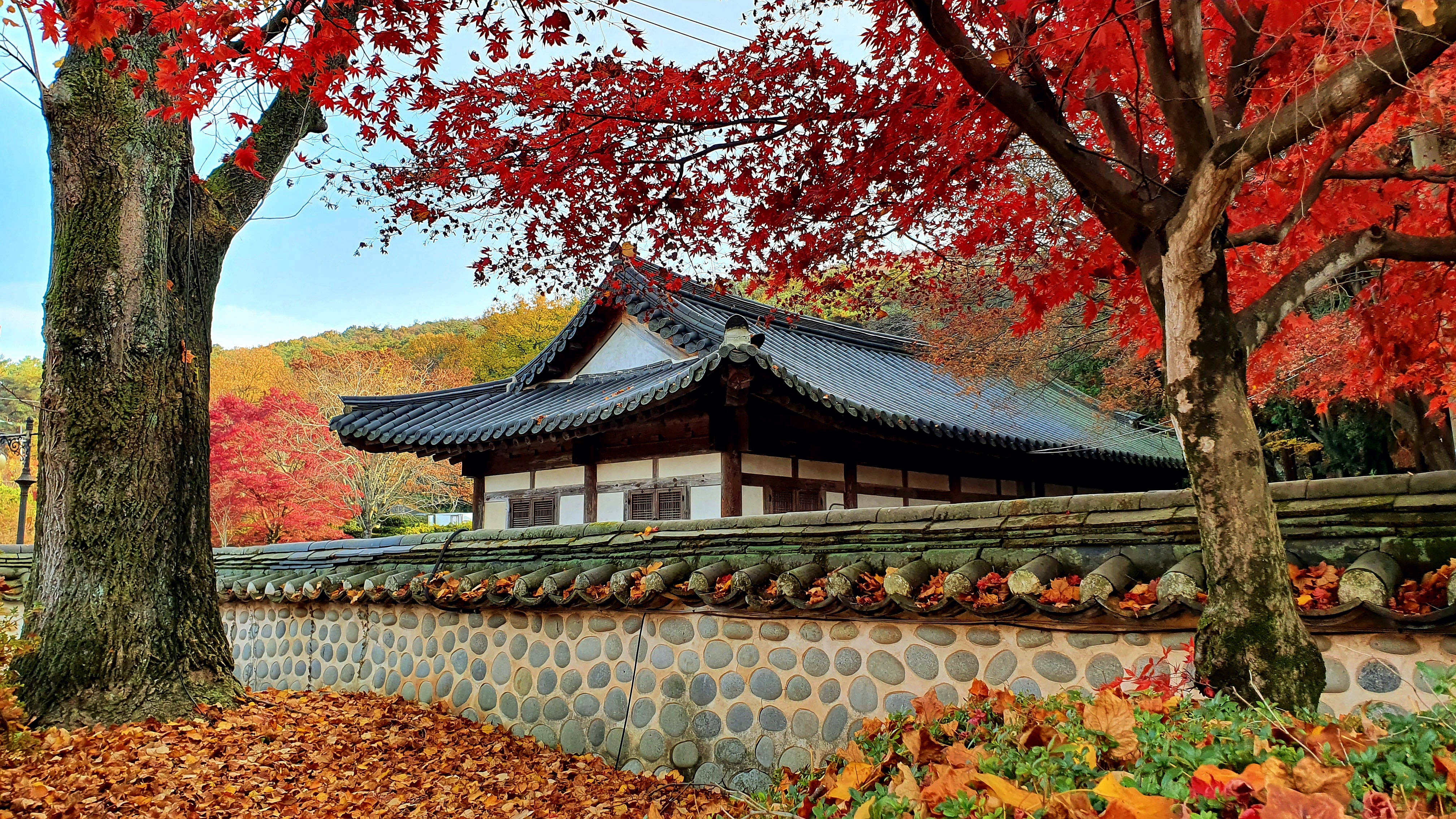 충장사 이미지