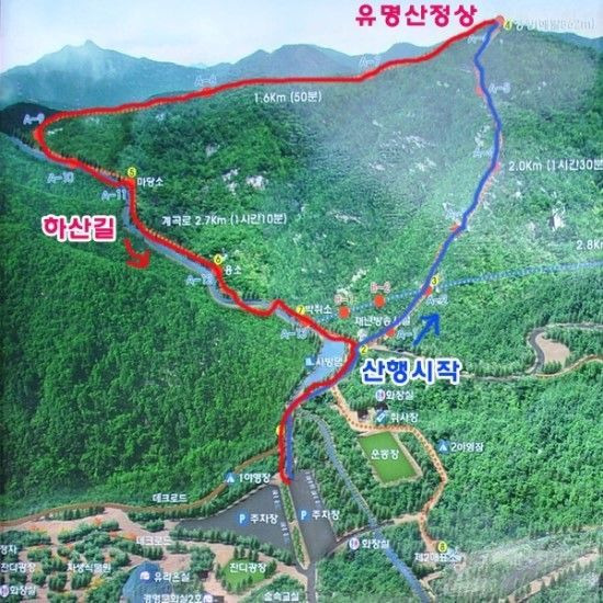 유명산 이미지