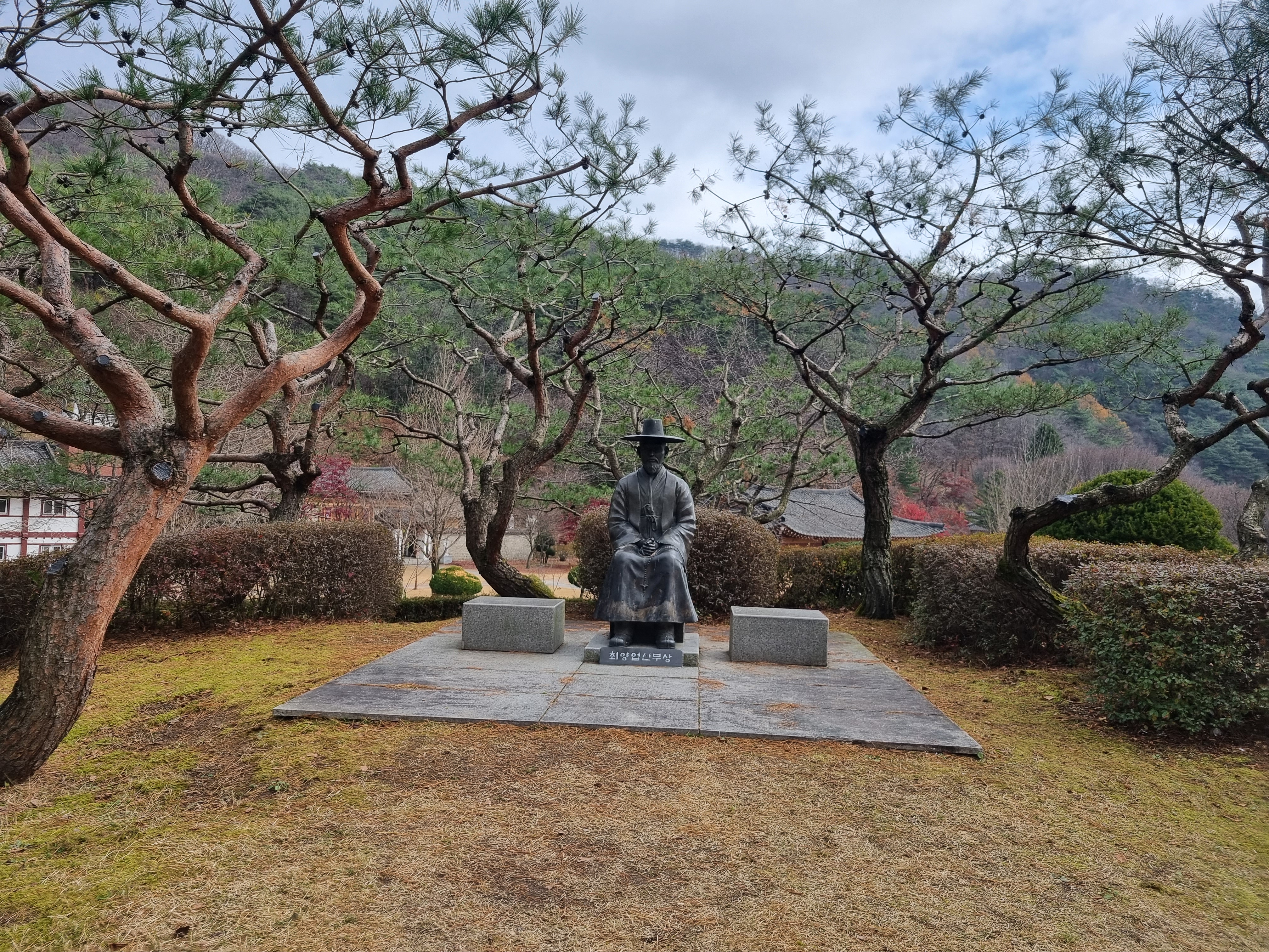 이끼이야기 이미지