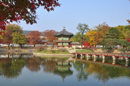 향정원 이미지