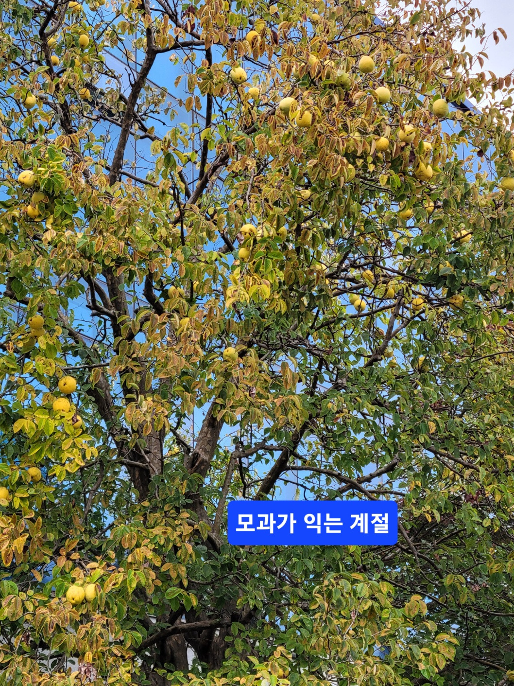 이야기가있는풍경 이미지