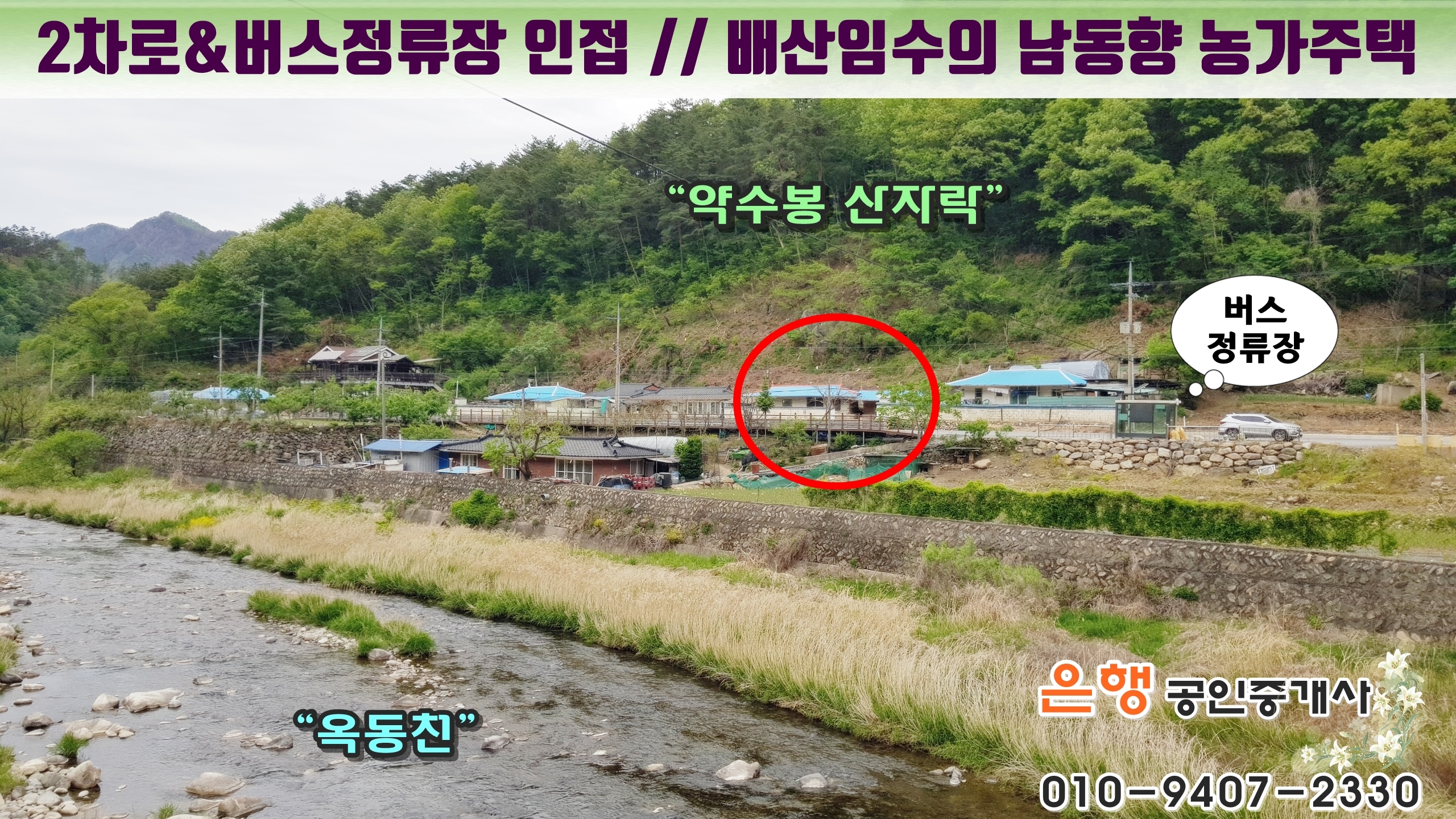 양지수선 이미지