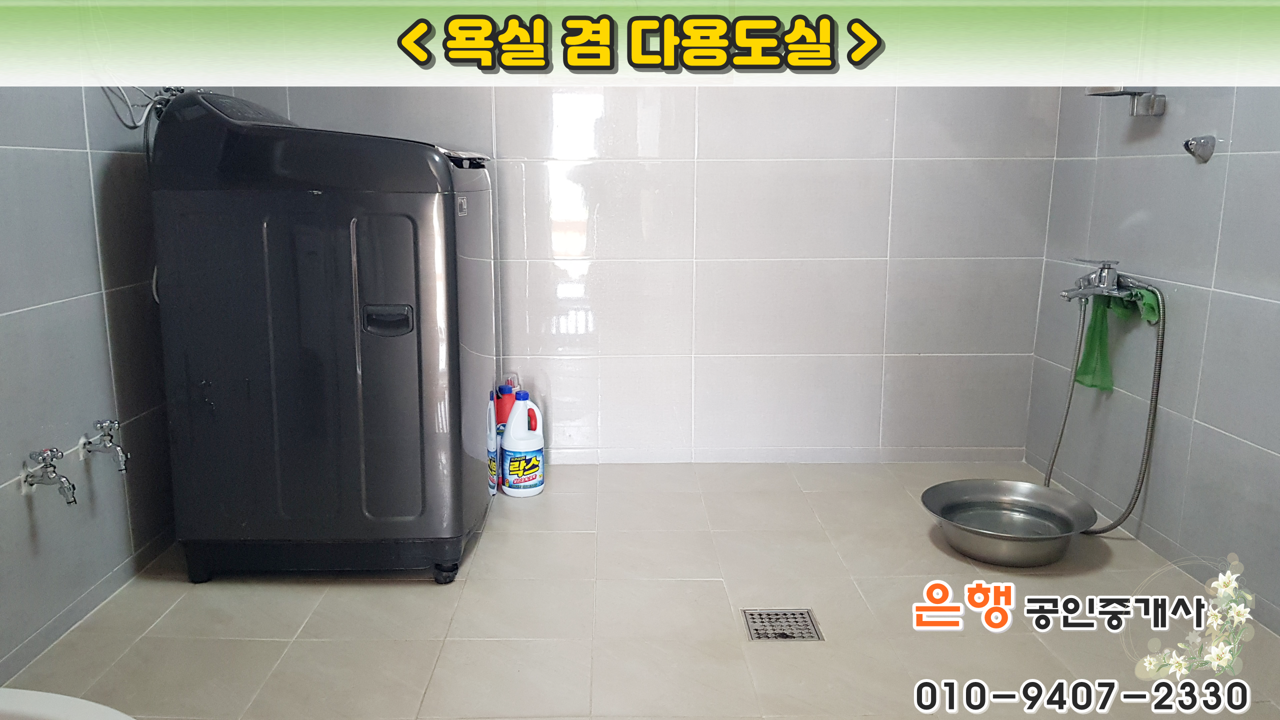 양지수선 이미지