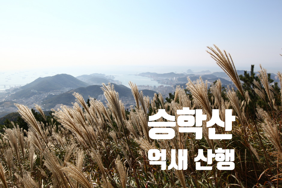 산마루 대표 사진