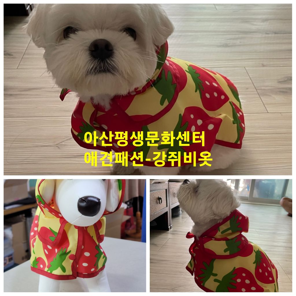 한국수공예문화협회 이미지