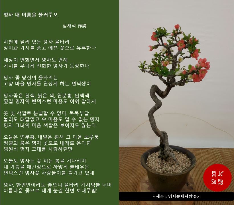 장수관 이미지