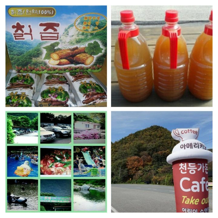 천등가든 개업식 - 천등가든 민박 예약 - 대둔산 천등가든민박 천등가든 개업식