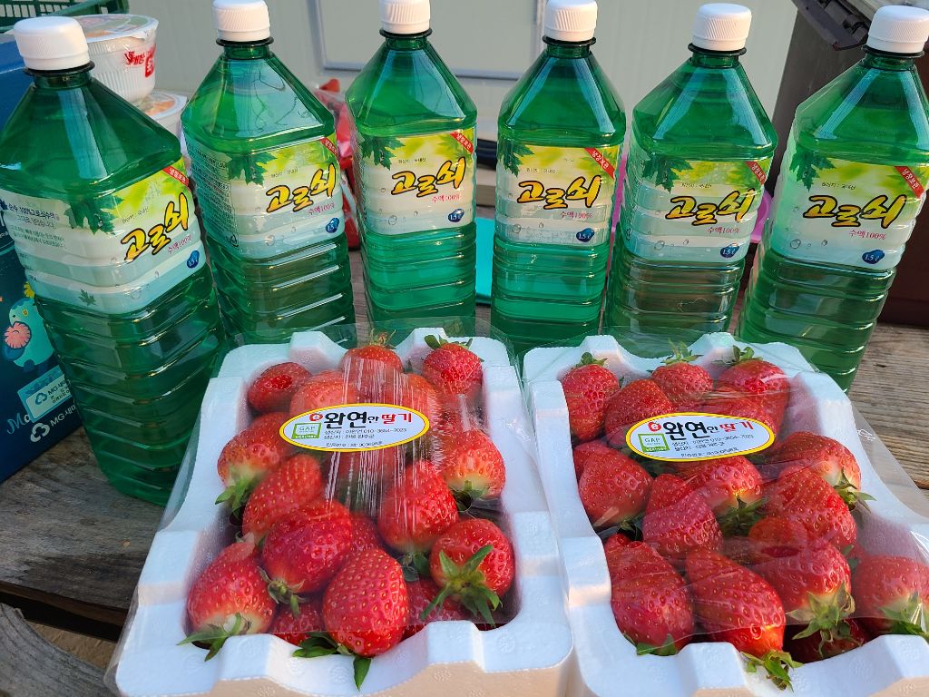 대둔산고로쇠 직거래 - 대둔산 고로쇠 직접 채취 - 대둔산 천등가든민박 대둔산고로쇠 직거래