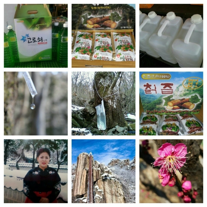대둔산 고로쇠 직거래 - 대둔산 고로쇠 직접 채취 - 대둔산 천등가든민박 대둔산 고로쇠 직거래