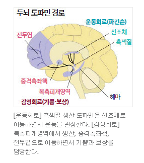 Daum 카페