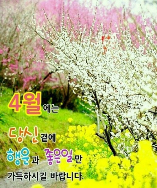 살다보면 이미지