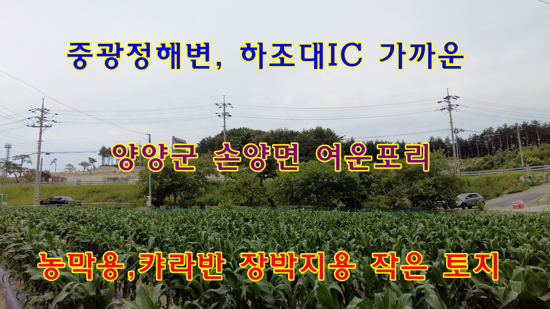 하조대IC 이미지