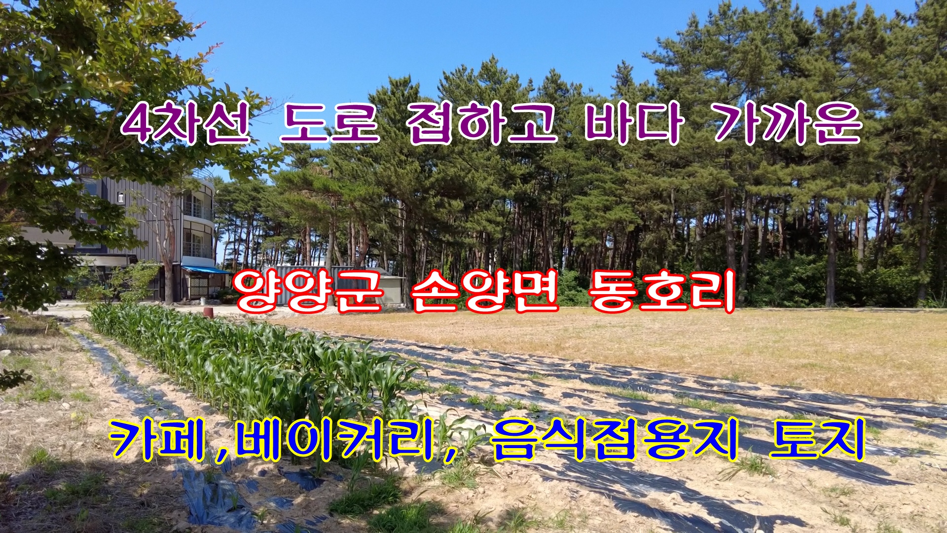 바다음식점 이미지