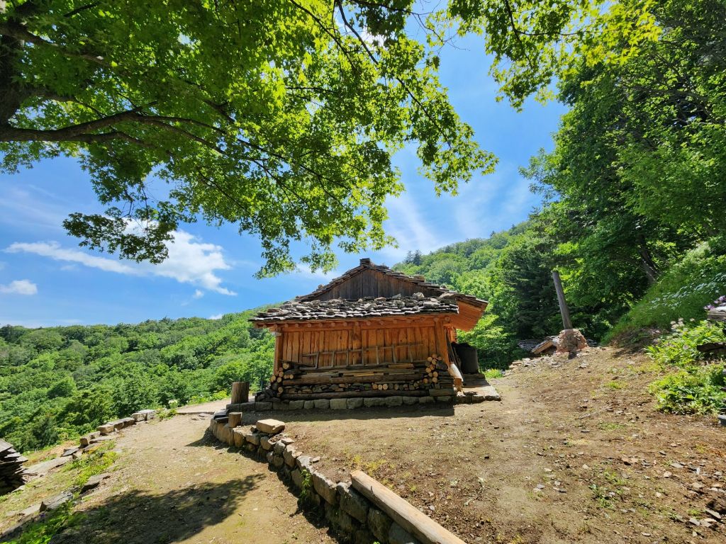 (주)담소 이미지