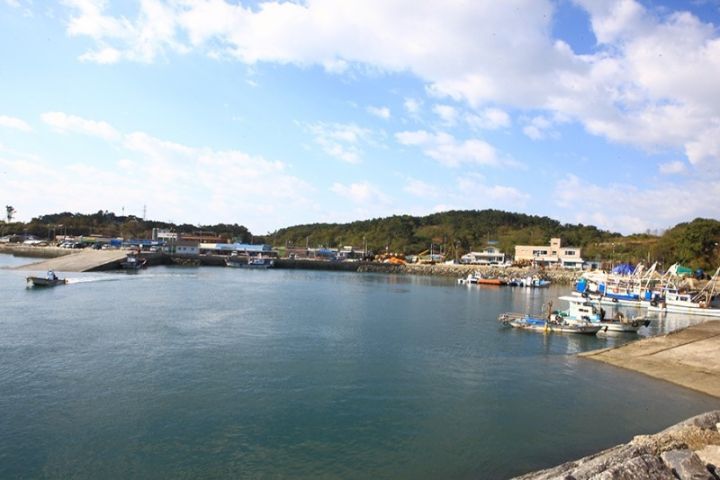 보령화원 이미지