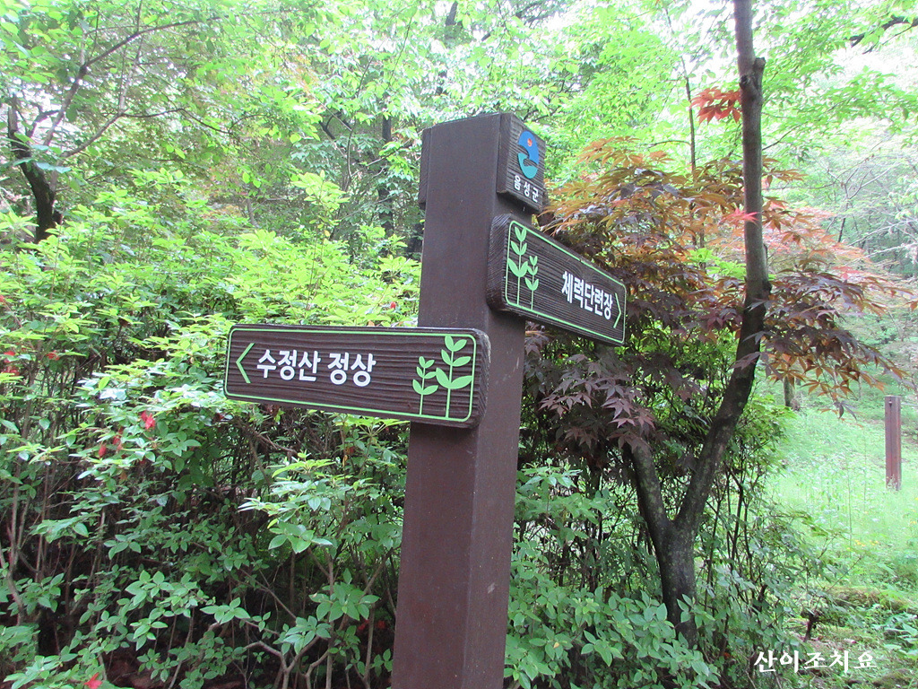 수정산 정상 이미지