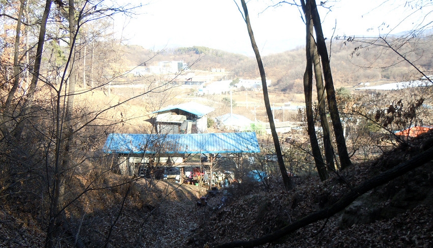 도토 이미지