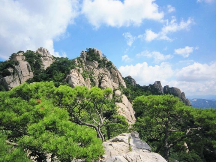 도봉산커피 이미지