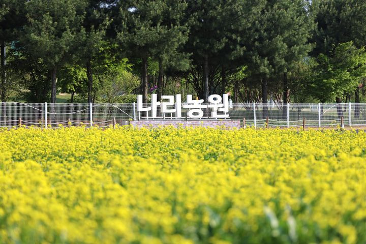 싱그러운 이미지