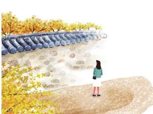 돌담 이미지