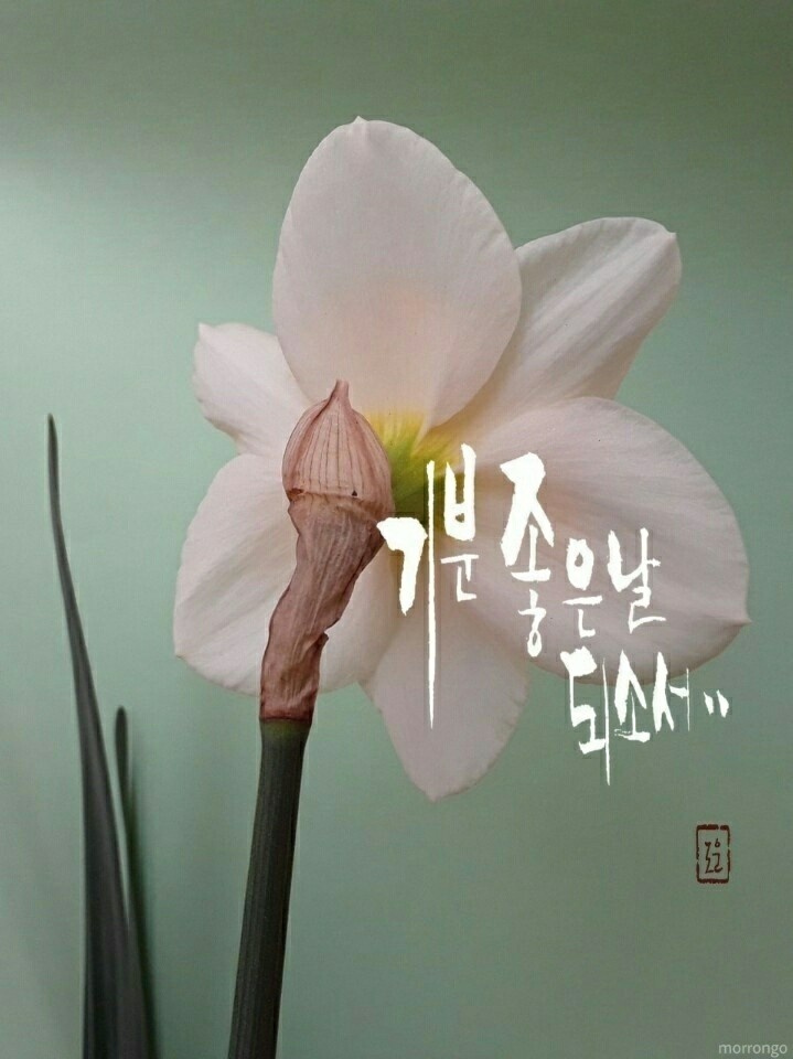 기분좋은날 이미지