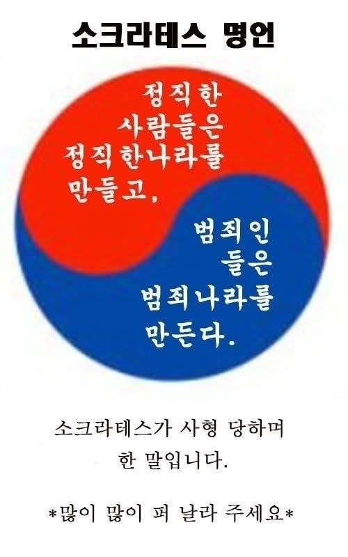 태양이발 이미지