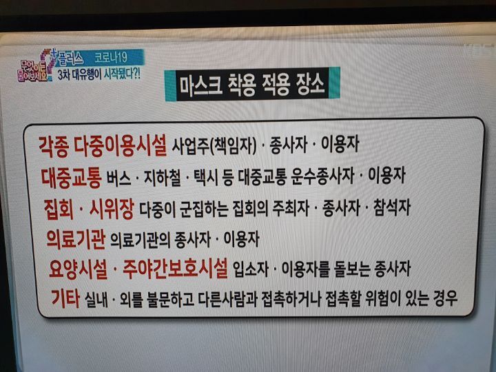 대성당구장 이미지