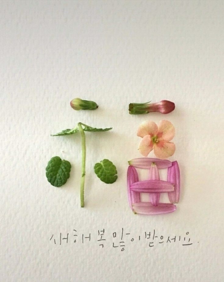 (주)힘찬걸음 이미지