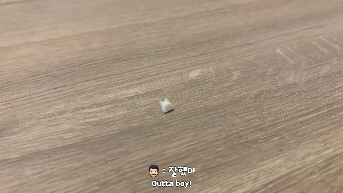 사모예드와 흔들리는 이 뽑는 법 | 인스티즈