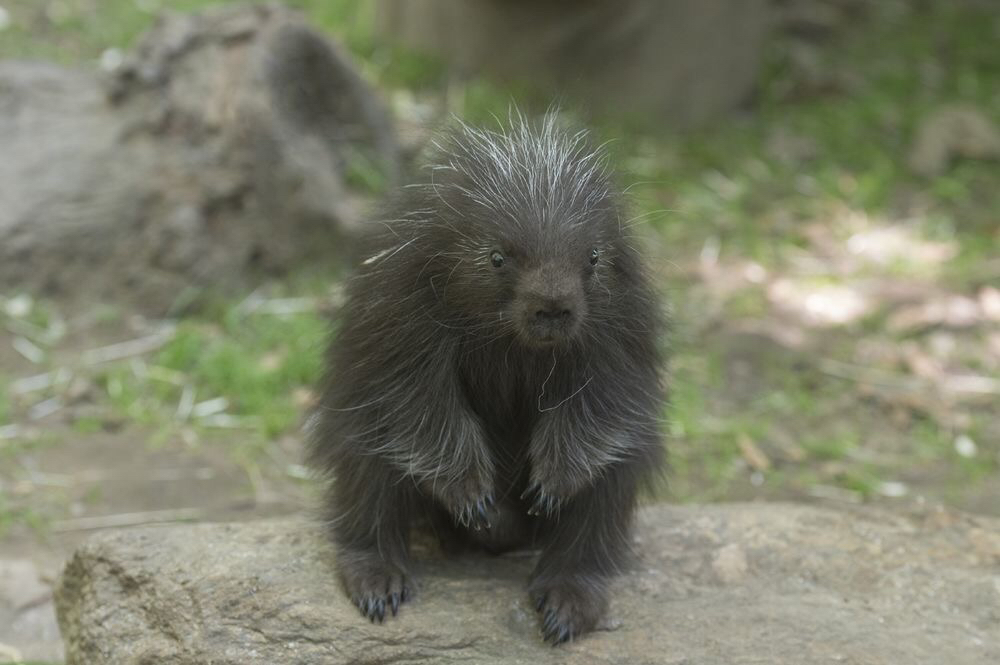 002bcc4df3a328aeeae96078717ee31c28c66623