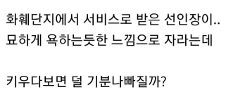 묘하게 기분 나쁜 선인장 | 인스티즈