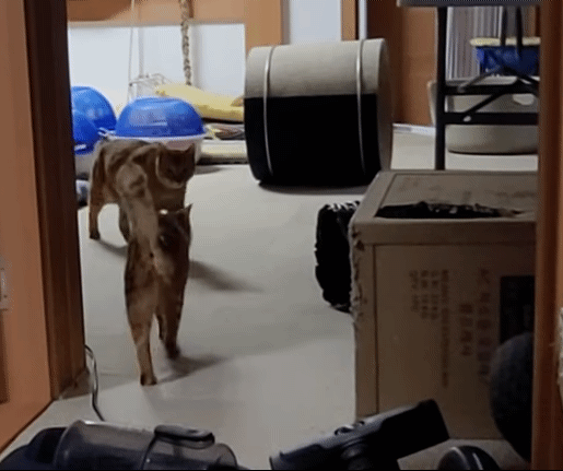 005f0814bea55fda030fd717e3b360bcb7b321ea