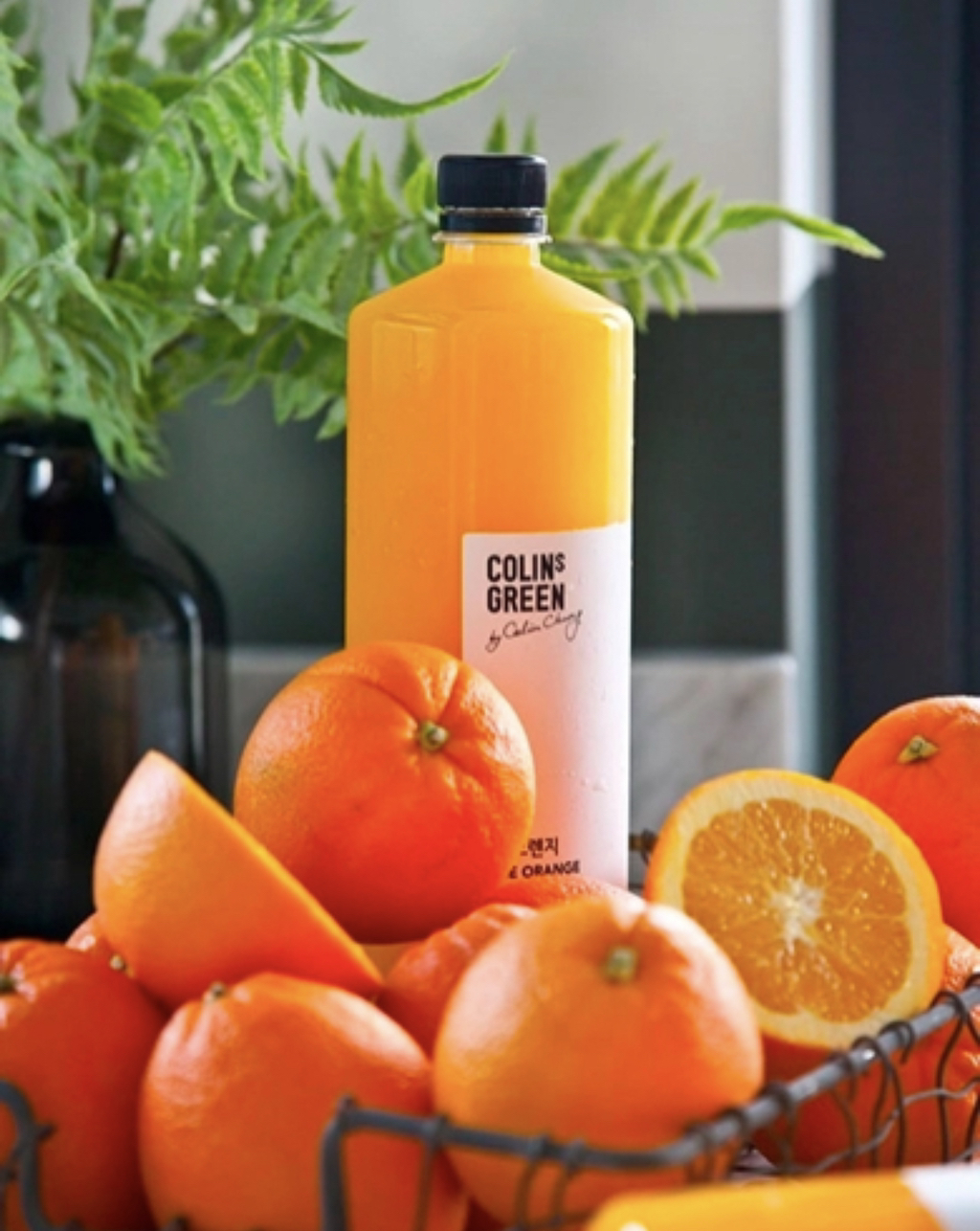 오렌지주스 악개의 오렌지주스 모음 | 인스티즈