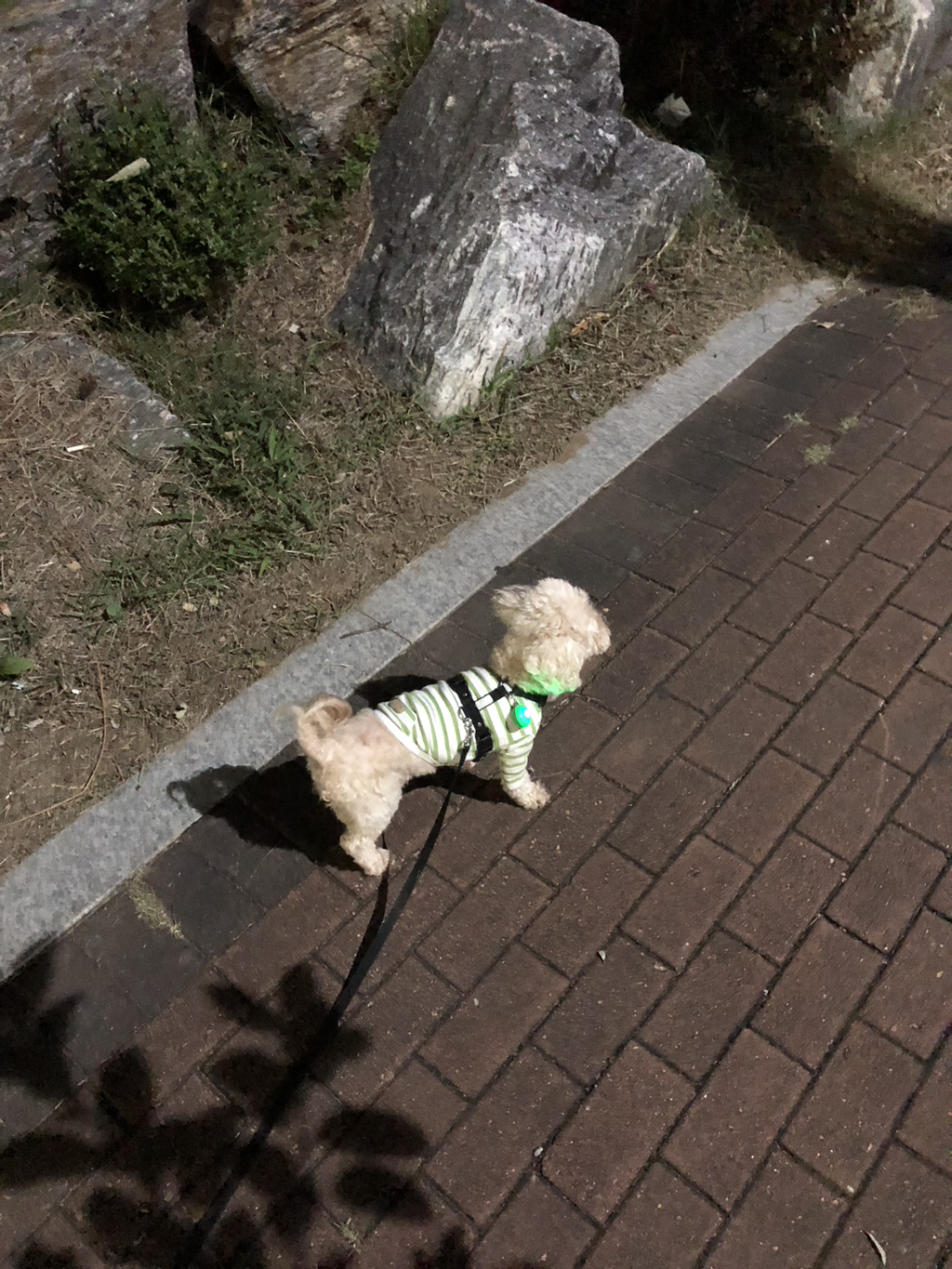 이 사진 너무 신기하지 | 인스티즈