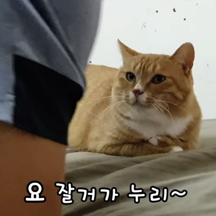 00dd51775128777e9427a9718016cb68c4d8c038