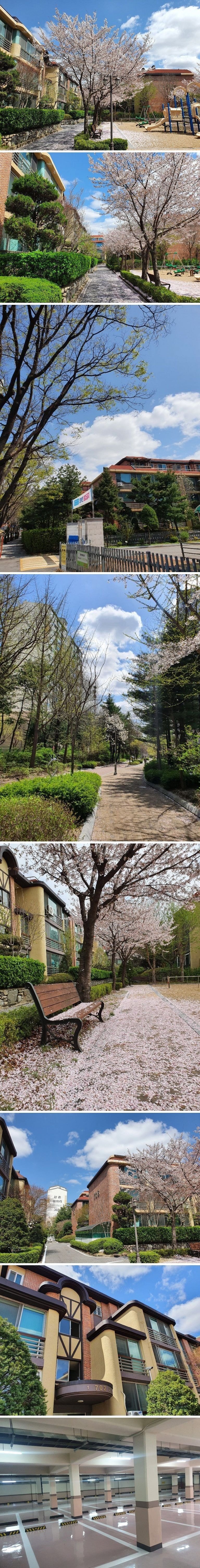 요새는 보기 힘든 저층아파트의 감성 | 인스티즈