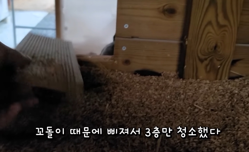 매맞는 삶을 살고있는 매탈남 근황 | 인스티즈