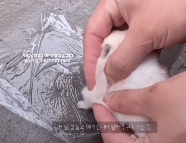 가족이 된것을 기념해 콘크리트에 발자국 남기는중 | 인스티즈