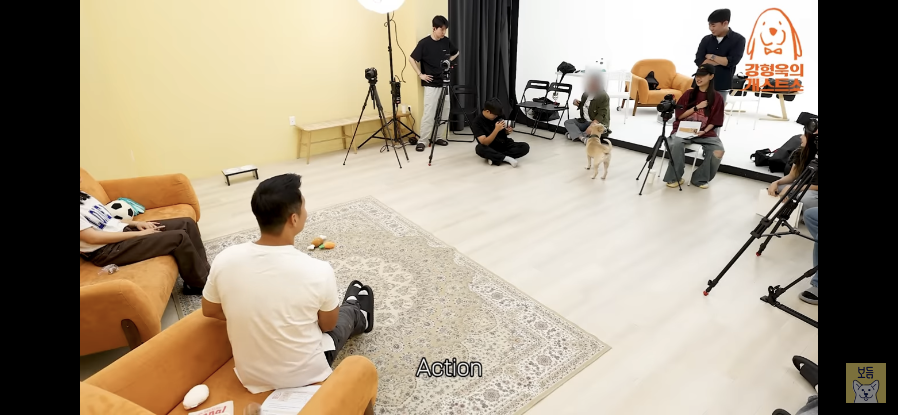 이주영 반려견 티그의 장기.twt | 인스티즈