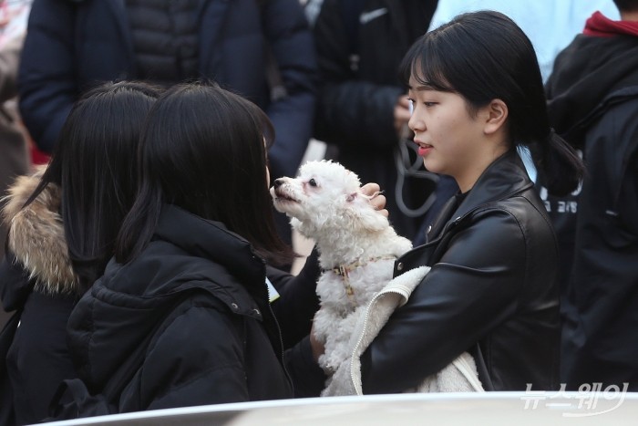 올해도 기대되는 '수능 강아지' 모음 | 인스티즈