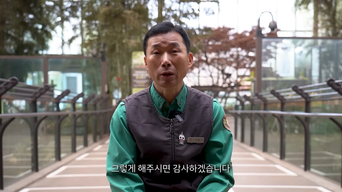 강바오가 중국 사육사에게 보내는 영상편지 (오열주의) | 인스티즈