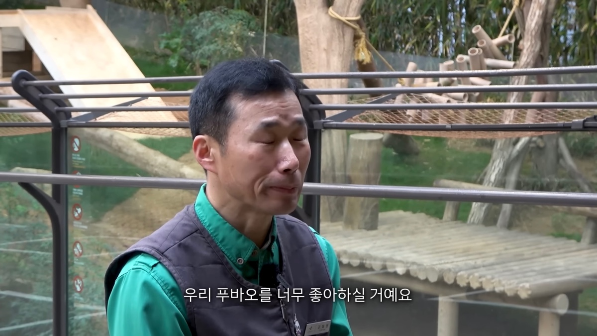 강바오가 중국 사육사에게 보내는 영상편지 (오열주의) | 인스티즈
