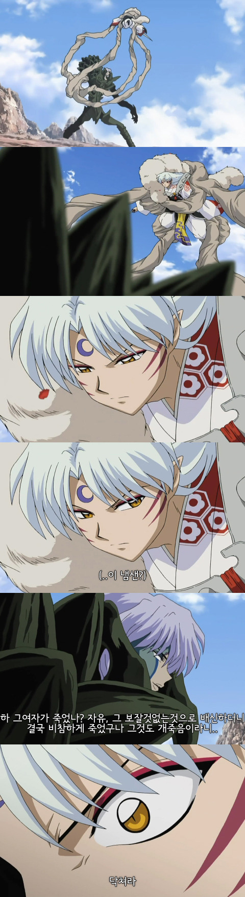 그시절 초딩들에게 망한사랑의 맛을 알게해준 셋쇼마루X카라 | 인스티즈