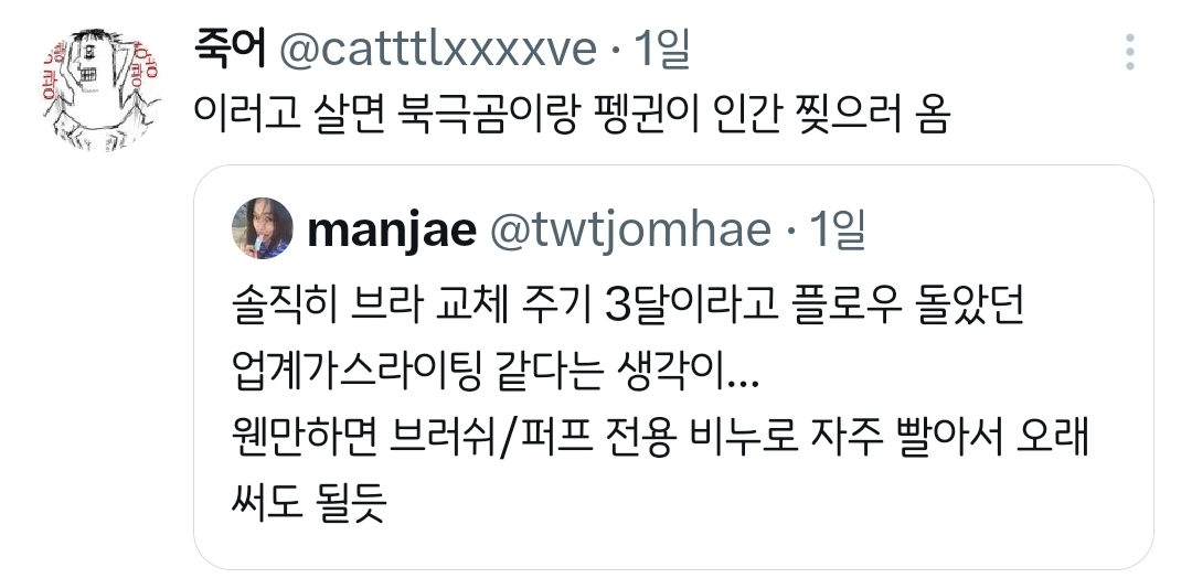 퍼프 교체주기 2-3주 브라 교체 주기 3개월.twt | 인스티즈