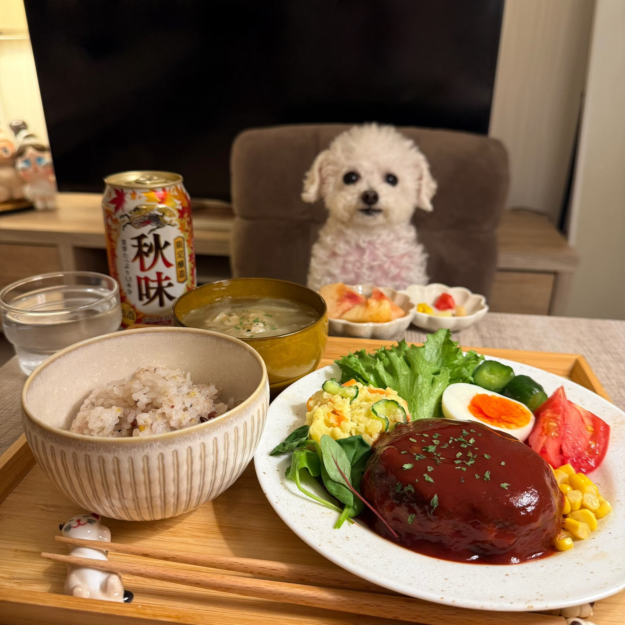 반려견과 함께 밥먹는 사진으로 화제된 트위터 계정.jpg | 인스티즈