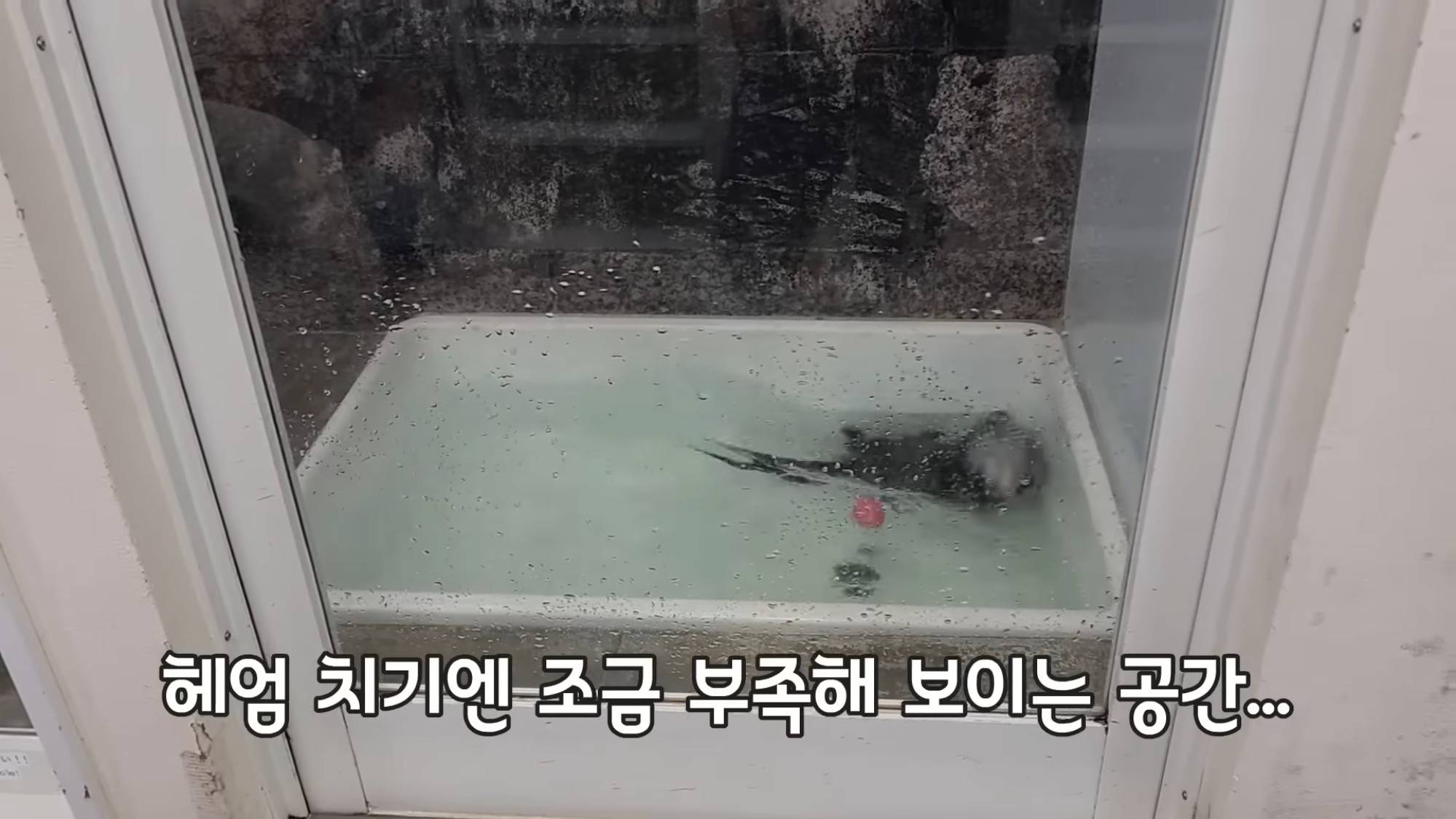 카페다름 이미지