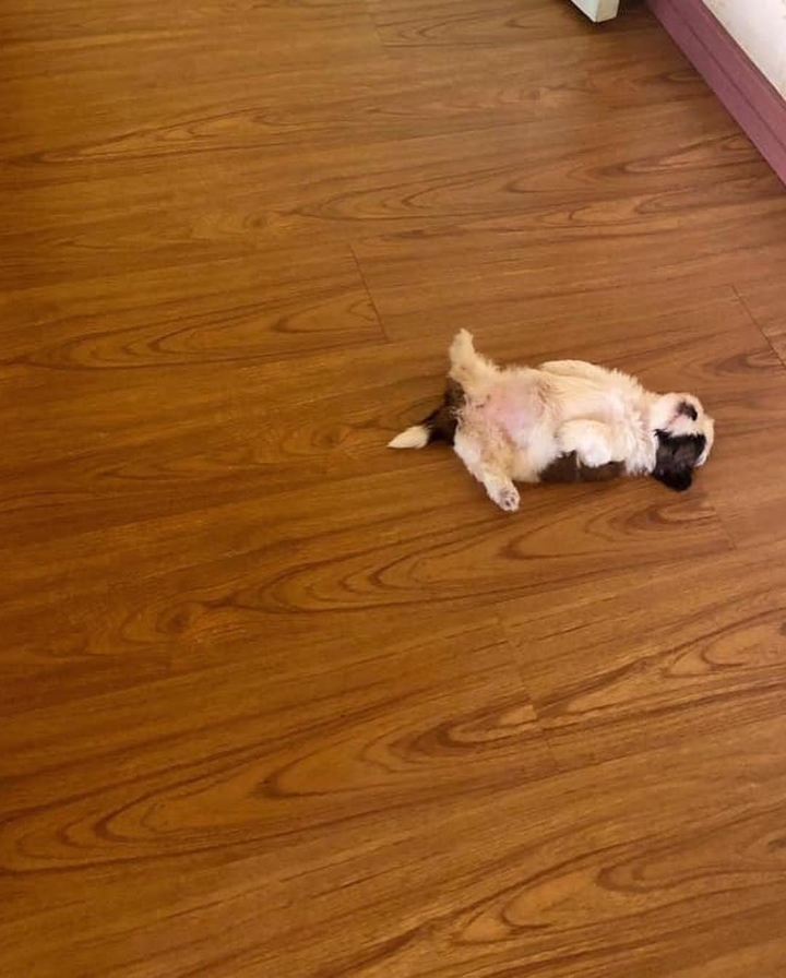 017441409be8fa755f56281f3e1600790c866c3e