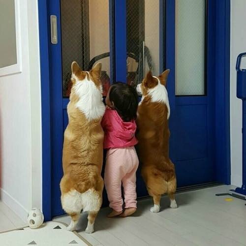 재밌고 귀여운 고전 트위터짤 모음집.jpg | 인스티즈